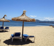 clicksnotcodeinthesun