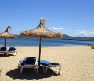 clicksnotcodeinthesun