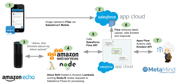 amazonechoandeinstein